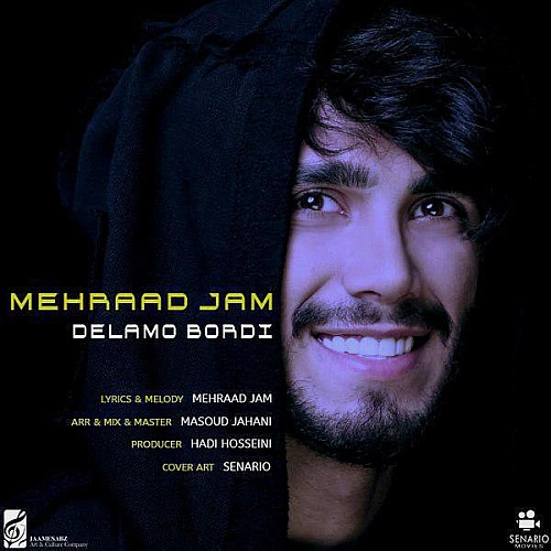 Cover artwork for Delamo Bordi by Mehraad Jam